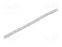 LED tape; white cold; 2835; 24V; LED/m: 120; 10mm; white PCB; IP65