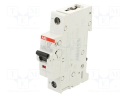 Circuit breaker; 230VAC; 220VDC; Inom: 13A; Poles: 1; Charact: B