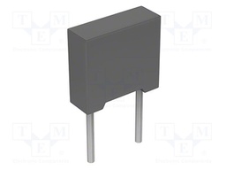 Capacitor: polyester