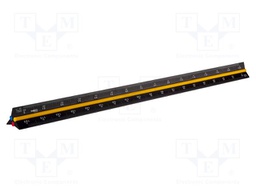 Ruler; L: 0.3m