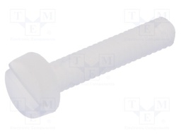 Screw; M2x10; 0.4; Head: cheese head; slotted; 0,6mm; polyamide