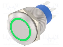 Switch: vandal resistant; Pos: 2; DPST; 3A/250VAC; OFF-(ON); green