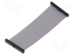 Ribbon cable with IDC connectors; Tape ph: 0.64mm; 101.6mm