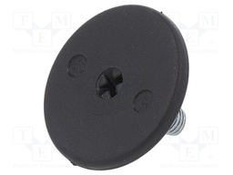 Foot of pin; rigid,with screwdriver slot; Base dia: 40mm; M8