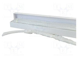 Carrier tape; ESD; 44mm; 250pcs; transparent