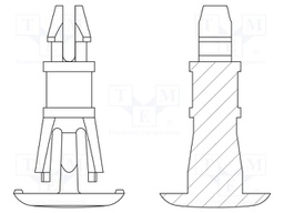 Assembly stud; polyamide 66; L: 7.9mm; latch/latch; UL94V-2