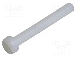 Screw; M5x40; 0.8; Head: cheese head; slotted; 1,3mm; polyamide