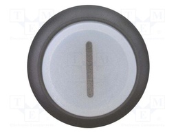 Switch: push-button; Stabl.pos: 2; 22mm; white; IP67; Pos: 2; Ø22.5mm