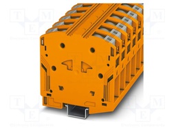 Splice terminal: rail; PA; ways: 1; terminals: 2; W: 20mm; H: 101mm