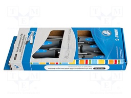 Kit: screwdrivers; Phillips,slot; 600CS5TBI; 5pcs.