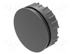 Switch Accessory, Blind Plug, EAO 04 Series Pushbutton Switches