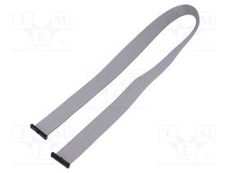 Ribbon cable with IDC connectors; Tape ph: 0.64mm; 647.7mm