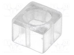Button; rectangular; transparent
