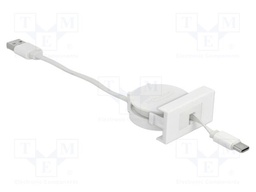 USB module; Easy 45; USB A plug,USB C plug; USB 2.0,rolled; 2A