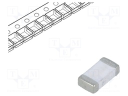 Fuse: fuse; 20A; 24VDC; SMD; ceramic; Case: 1206; SFH