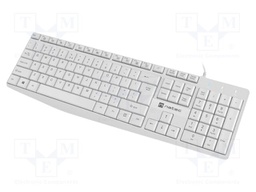 Keyboard; white; USB A; wired,slim,US layout; Len: 1.8m
