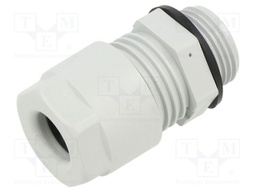 Cable gland; M20; IP66,IP68; polyamide; grey