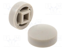 Grey; 320.02,320.03,TL1100C,TL2201Y,TL4201Y; Accessories: Cap