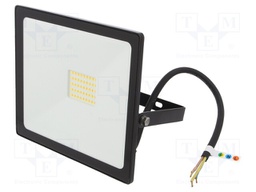Lamp: LED flood light; 4000(typ)K; IP65; Body: black; 30W; 230VAC