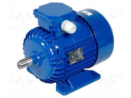 Motor: AC; 3-phase; 0.55kW; 1380rpm; continuous operation S1; IP54