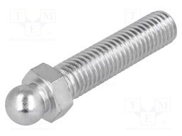 Pin; M10; Plunger mat: steel; Ø: 10mm; Plating: zinc; Spanner: 13mm