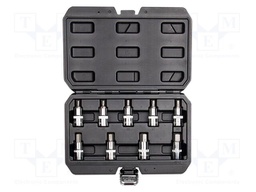 Wrenches set; hex key,socket spanner; Mounting: 1/2"; 9pcs.