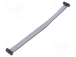 Ribbon cable with IDC connectors; IDC,both sides; Tape ph: 1mm