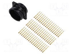 Socket; Size: 16; Connector: circular; MP-41; male; PIN: 54; 13A; IP67