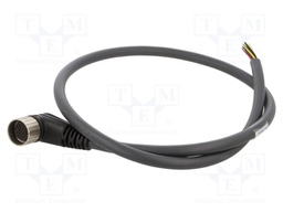 Connector: M23; plug; PIN: 19; female; cables; straight; 8A; IP67