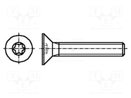 Screw; M5x12; Head: countersunk; Torx®; A2 stainless steel; TX25