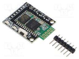 Bluetooth module
