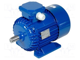 Motor: AC; 3-phase; 0.75kW; 1380rpm; continuous operation S1; IP54