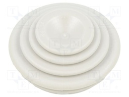 CABLE GLAND D.29 CONDUIT MAX DIAM.25MM