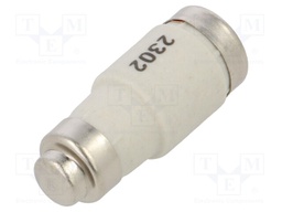 Fuse: fuse; gG; 25A; 500VAC; 500VDC; industrial; DII