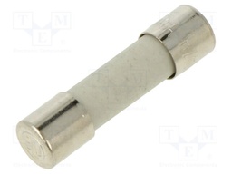 Fuse: fuse; 630mA; 250VAC; time-lag; cylindrical,glass