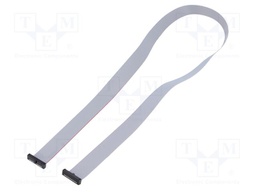 Ribbon cable with IDC connectors; Tape ph: 0.64mm; 609.6mm