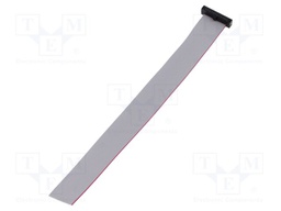 Ribbon cable with IDC connectors; Tape ph: 0.64mm; 152.4mm