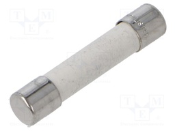 Fuse: fuse; quick blow; 8A; 250VAC; 125VDC; ceramic,cylindrical