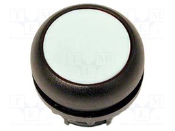 Switch: push-button; Stabl.pos: 2; 22mm; Illumin: none; IP67; Pos: 2