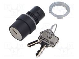 Switch: rotary with key; 22mm; Stabl.pos: 2; none; IP65; prominent