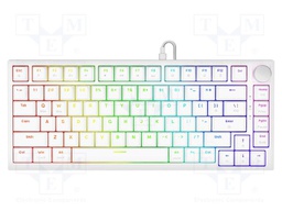 Keyboard; white; USB A,USB C; magnetic,wired,US layout; 1.8m