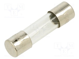 Fuse: fuse; 600mA; 250VAC; glass; 20x5.2mm; bulk
