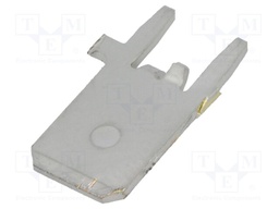 Terminal: flat; 6.3mm; 0.8mm; male; THT; tinned; straight