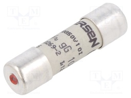 Fuse: fuse; gG,time-lag; 10A; 500VAC; 250VDC; 10x38mm