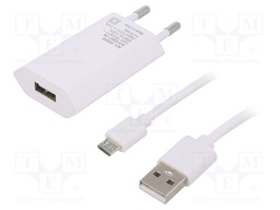 Power supply: switched-mode; voltage source; 5VDC; 1A; 5W; plug