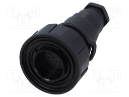 Connector: circular; plug; male; PIN: 25; Buccaneer Standard; IP68