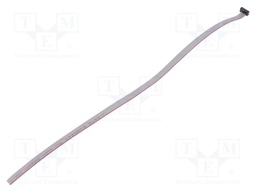 Ribbon cable with IDC connectors; Tape ph: 0.64mm; 304.8mm