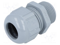 Cable gland; NPT3/4"; IP68; Mat: polyamide; grey