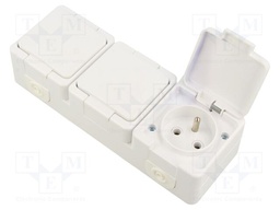 Connector: AC supply; socket; 2P+PE; 250VAC; 16A; white; wall mount