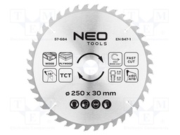 Circular saw; Ø: 250mm; Teeth: 40; cemented carbide; Øhole: 30mm